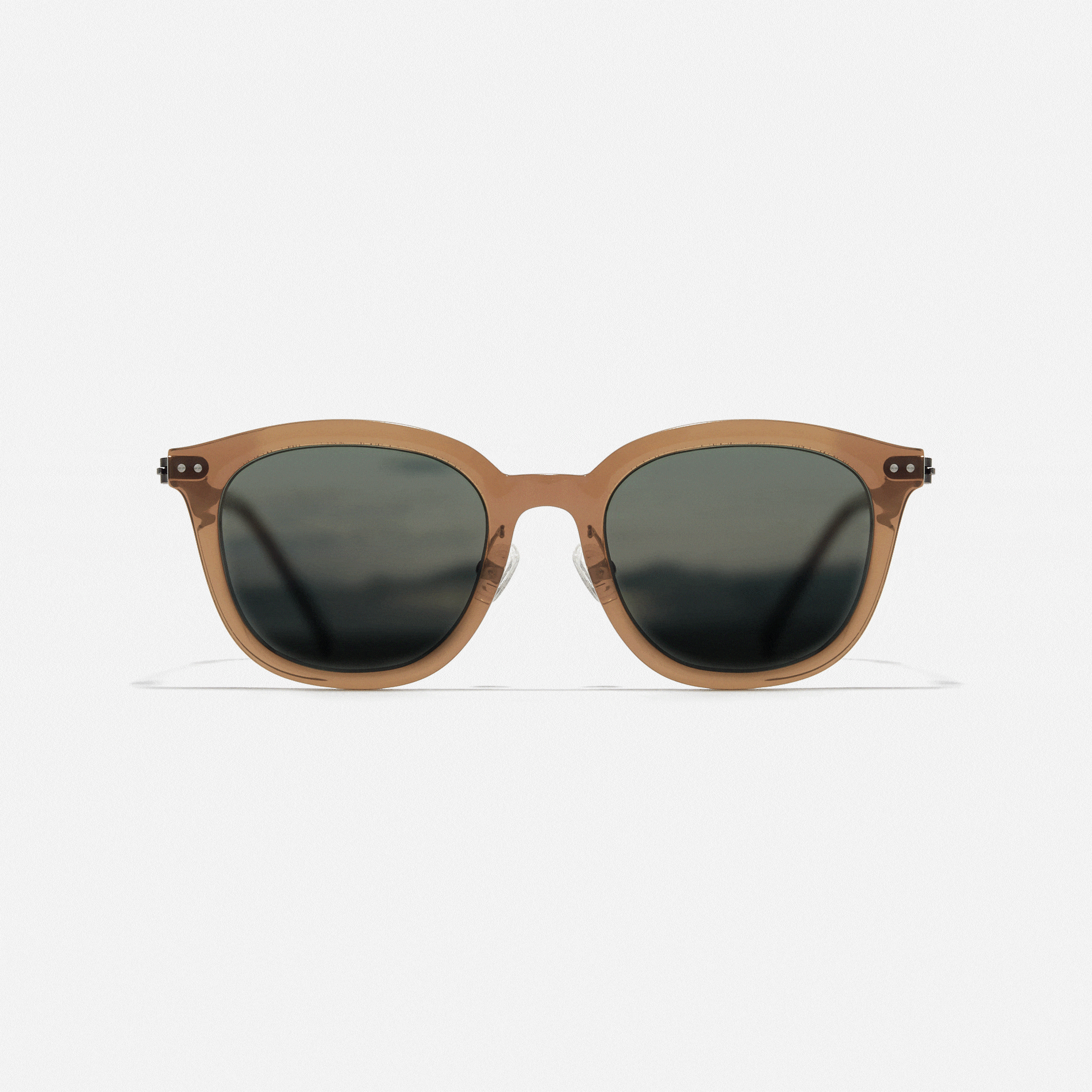 サングラス CARINCARINCARIN Polarized Lens Ronard B C2 RONAD-B C2 RONAD N C1